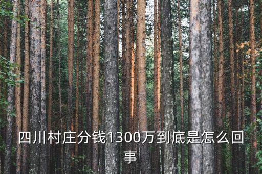 分紅1300萬 pk深圳，Roboon溫州人PK深圳人誰有錢