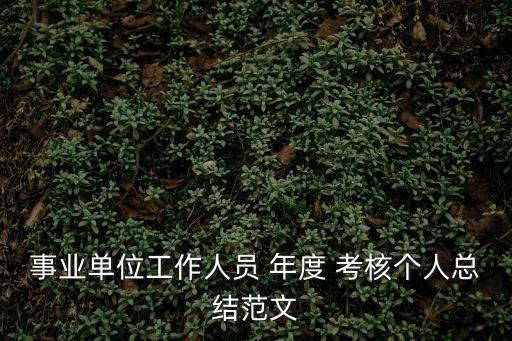 年度考核總結(jié),教師年度考核總結(jié)個(gè)人范文
