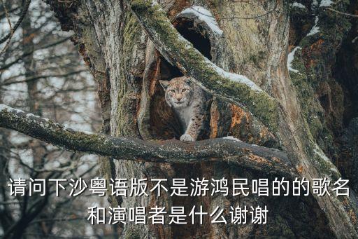 請問下沙粵語版不是游鴻民唱的的歌名和演唱者是什么謝謝