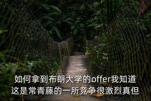 如何拿到布朗大學的offer我知道這是常青藤的一所競爭很激烈真但