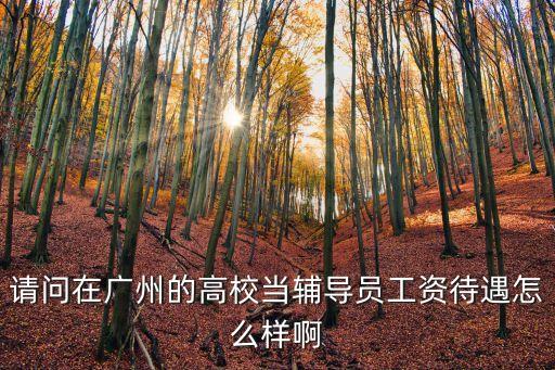 請問在廣州的高校當輔導員工資待遇怎么樣啊