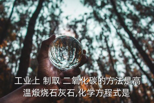  工業上 制取 二氧化碳的方法是高溫煅燒石灰石,化學方程式是