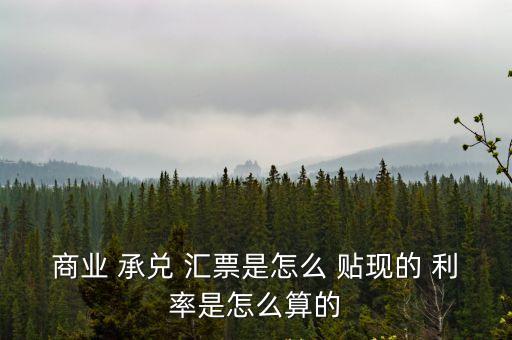 承兌匯票貼現利率,2023年1月銀行承兌匯票貼現利率