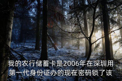 深圳大W2006年大WI證圖，我的駕照是2006年6月拿得年審那一天