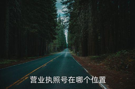  營業(yè)執(zhí)照號(hào)在哪個(gè)位置