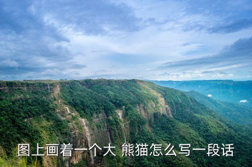 熊貓圖畫,大熊貓怎么寫一段話非常可愛!