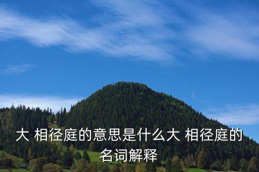 大 相徑庭的意思是什么大 相徑庭的名詞解釋