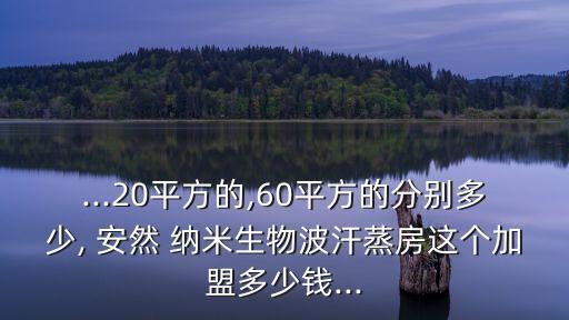 ...20平方的,60平方的分別多少, 安然 納米生物波汗蒸房這個加盟多少錢...
