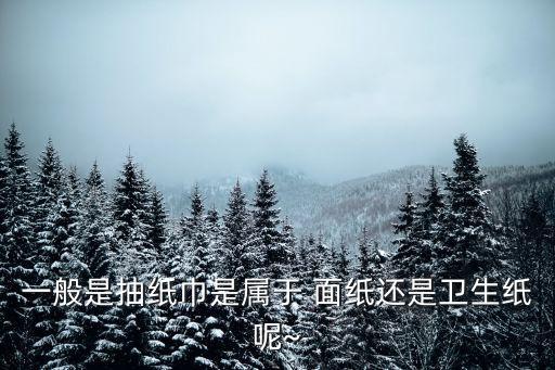 一般是抽紙巾是屬于 面紙還是衛生紙呢~