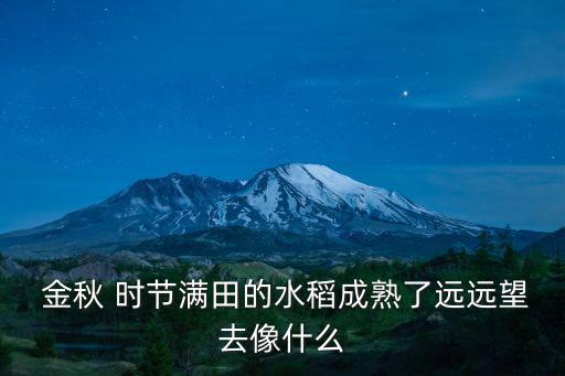 金秋 時節(jié)滿田的水稻成熟了遠遠望去像什么