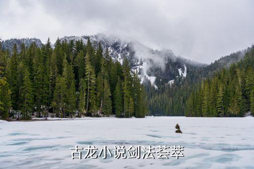 太乙玄門劍,武當劍種類主要有武當八極劍、九宮八卦劍