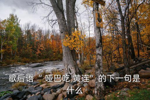 啞巴吃黃連,啞巴吃黃連有苦說不出。