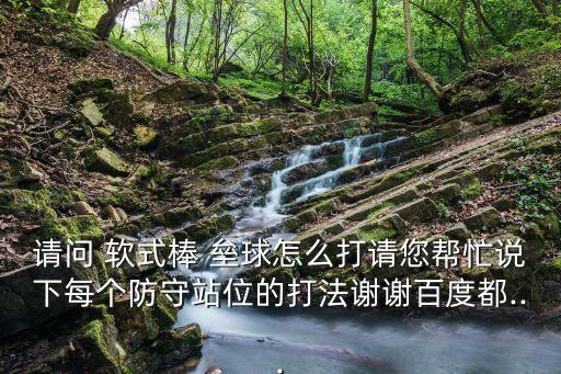 軟式壘球