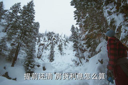房貸提前還款計算器在線計算,提前還款計算器app