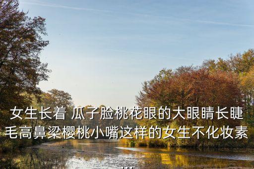 女生長著 瓜子臉桃花眼的大眼睛長睫毛高鼻梁櫻桃小嘴這樣的女生不化妝素...