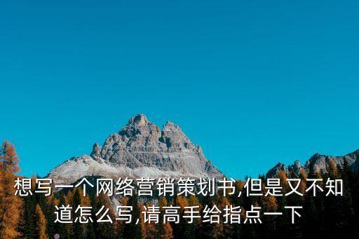 網(wǎng)站推廣計劃書