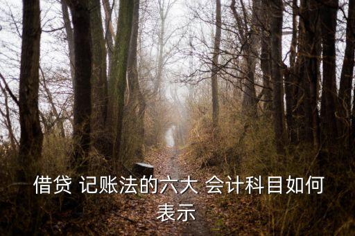  借貸 記賬法的六大 會(huì)計(jì)科目如何表示