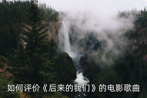 后來的我們五月天,五月天自傳|后來的我們