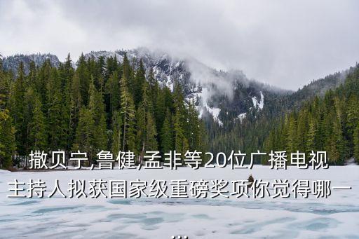 金話筒獎,楊瀾獲頒金話筒獎最佳女主持人