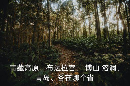 博山溶洞,博山開(kāi)元溶洞和博山源泉鎮(zhèn)溶洞哪個(gè)好?