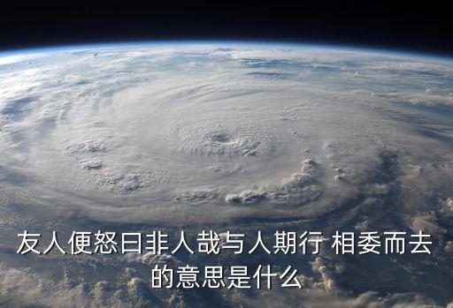友人便怒曰非人哉與人期行 相委而去的意思是什么
