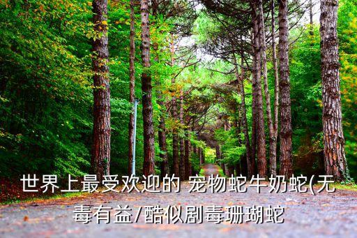 寵物蛇