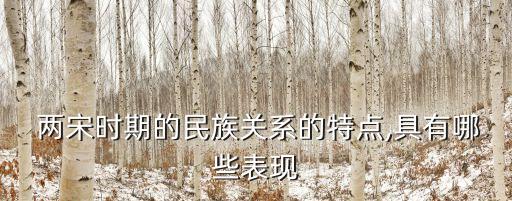  兩宋時(shí)期的民族關(guān)系的特點(diǎn),具有哪些表現(xiàn)