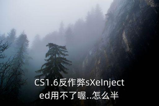 injected,系統(tǒng)或...存儲錯誤!!!