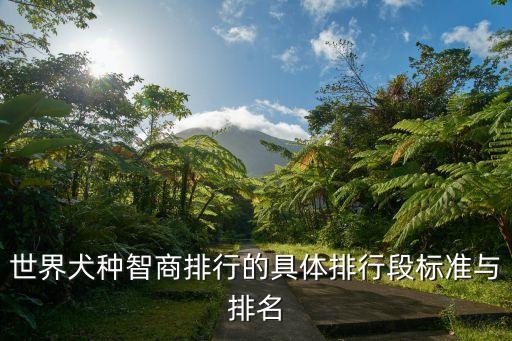 世界犬種智商排行的具體排行段標準與排名