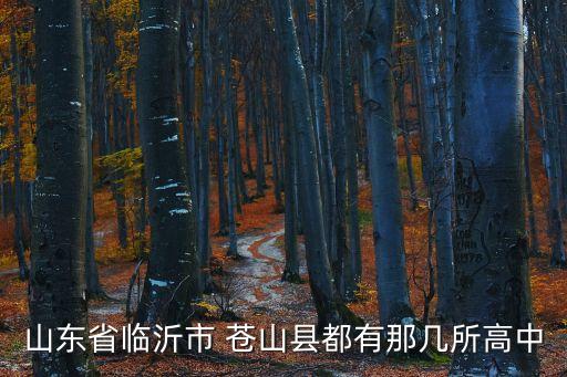 蒼山縣