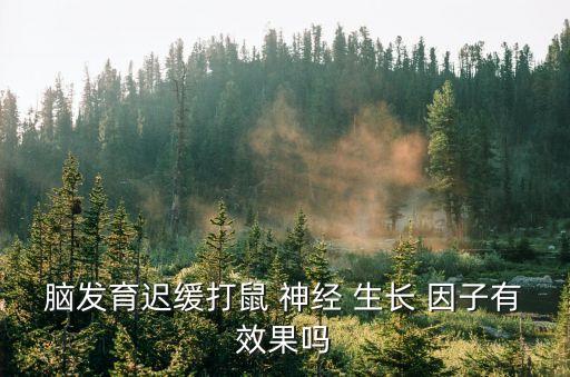 鼠神經(jīng)生長(zhǎng)因子