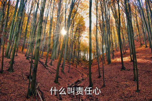 什么是責(zé)任感,一文看懂!責(zé)任感包括了什么?