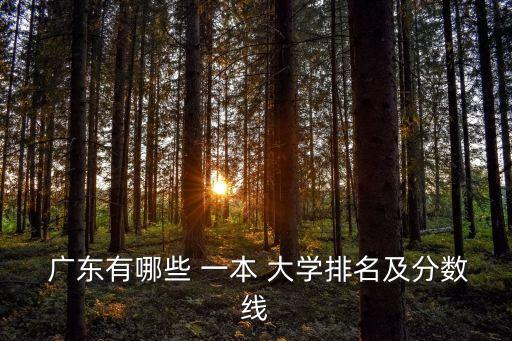  廣東有哪些 一本 大學(xué)排名及分?jǐn)?shù)線