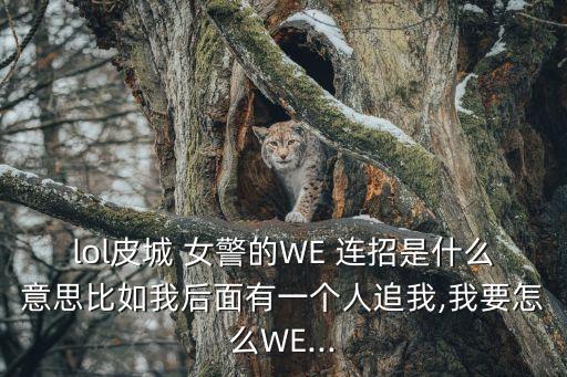 女警連招,玩好女警的攻略!