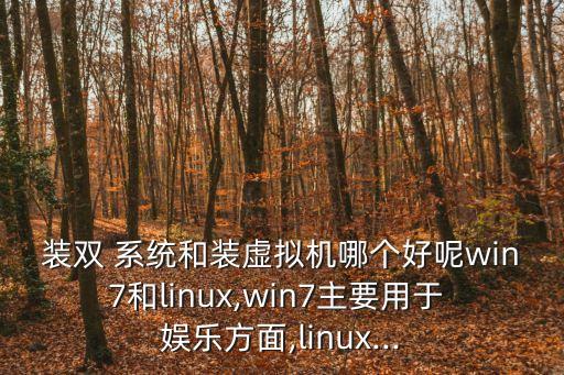 裝雙 系統和裝虛擬機哪個好呢win7和linux,win7主要用于 娛樂方面,linux...