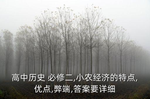 高中歷史 必修二,小農經濟的特點,優點,弊端,答案要詳細