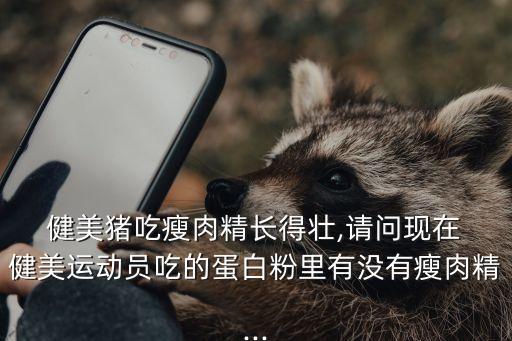 健美豬