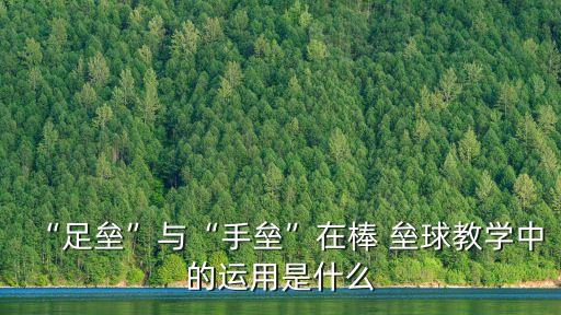 “足壘”與“手壘”在棒 壘球教學中的運用是什么