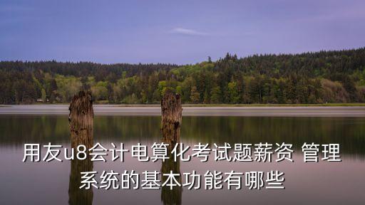用友u8會計電算化考試題薪資 管理系統的基本功能有哪些