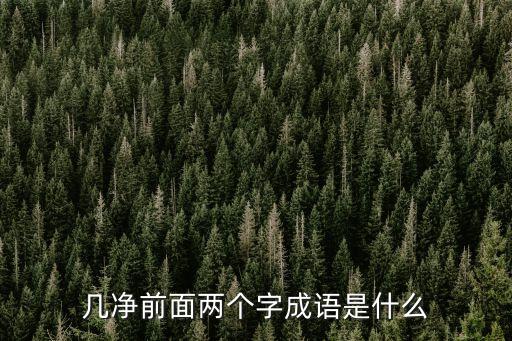 幾凈前面兩個字成語是什么