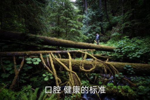 牙齒健康,保持牙齒健康十種食物有助健康