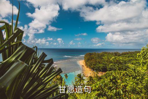 甘愿,為愛甘愿冒險完成任務(wù)不怕犧牲性命