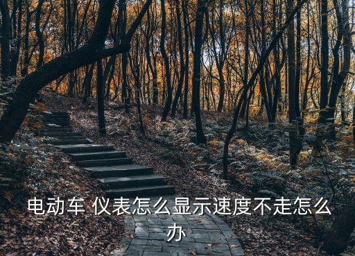  電動車 儀表怎么顯示速度不走怎么辦