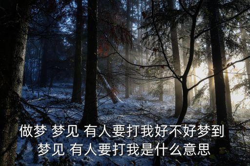夢見有人要打我,夢見有人想打我創業者:很幸運很受益匪淺