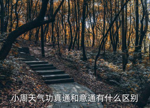 豬蹄廳長(zhǎng),黃芪豬蹄湯怎么做?
