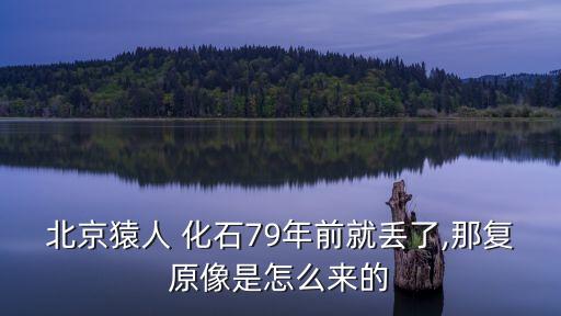 北京猿人 化石79年前就丟了,那復(fù)原像是怎么來(lái)的
