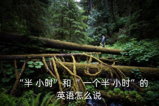 “半 小時”和“ 一個半 小時”的英語怎么說