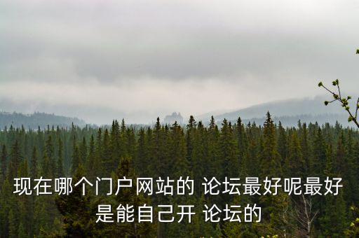 現在哪個門戶網站的 論壇最好呢最好是能自己開 論壇的