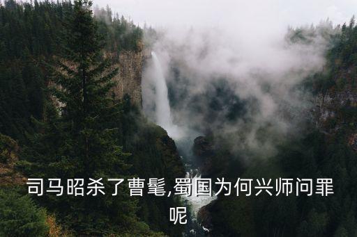 司馬昭弒君,司馬昭弒君之后姜維最后一次北伐是在兩年半后嗎?