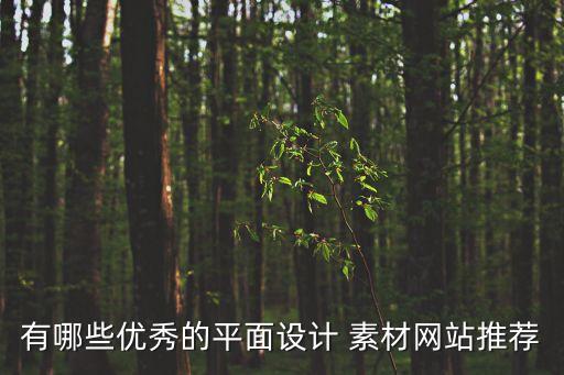 有哪些優(yōu)秀的平面設(shè)計 素材網(wǎng)站推薦